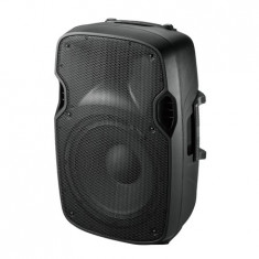 INCINTA ACUSTICA 15 inch/38CM 300W RMS foto