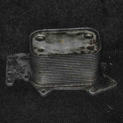 Răcitor de ulei AUDI A8 D3 4E2, 4E8 2006 OEM: 059117021J foto