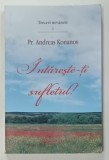 INTARESTE - TI SUFLETUL ! de PREOT ANDREAS KONANOS , 2016 , PREZINTA SUBLINIERI CU PIXUL