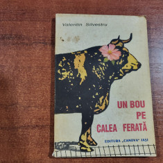Un bou pe calea ferata de Valentin Silvestru