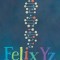 Felix Yz