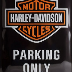 Placa metalica Harley Davidson 40 x 30