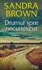 Drumul spre necunoscut - Sandra Brown - 2023, 514 pagini, brosata - Anticariat