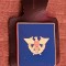 QW8 17 - Insigna - tematica militara - vultur pe laur - suport de piele