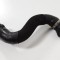 Furtun radiator răcire st&acirc;nga BMW 1 Coupe E82 2010 OEM: 1436377 3293600