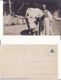 Tipuri din Transilvania -militara, WWI, WK1-foto Otto Ebering, Necirculata, Printata