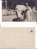 Tipuri din Transilvania -militara, WWI, WK1-foto Otto Ebering