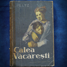 CALEA VACARESTI - I. PELTZ