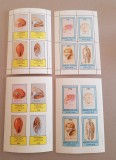 EYNHALLOW HOLY ISLAND SCOTLAND CRUSTACEE 4 MINI COLI DANTELAT SI NEDANTELAT MNH