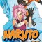 Naruto, Volume 30: Puppet Masters
