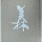 ALBUM DE ARTA CU TEXT INTEGRAL IN LIMBA CHINEZA , 2003