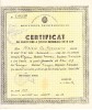 QW13 13 - 1965 - certificat de absolvire a scolii generale de 8 ani - RPR, Romania de la 1950, Documente