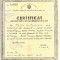 QW13 13 - 1965 - certificat de absolvire a scolii generale de 8 ani - RPR