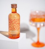 Silent Pool Rare Citrus Gin 0.05L