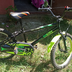 Bicicleta pentru copii Gokidy Trainy 20 inch negru-verde.