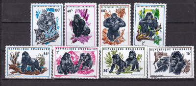 Rwanda 1970 fauna maimute MI 400-407 MNH foto