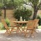 vidaXL Set mobilier de grădină, 5 piese, lemn masiv de tec 3059583