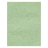 Coperta indosariere A4 CNX, carton imitatie piele, fistic, 230g/mp, top 100 coli