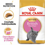 Cumpara ieftin Royal Canin British Shorthair Kitten hrana uscata pisica junior