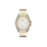 Cumpara ieftin Fossil ES3204 &ndash; Bijuterie Orologeriei Bicolore: Eleganța Sportivă a Aurului și