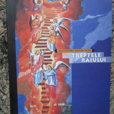 Alexandru Mihail Nita - Treptele Raiului (2008)