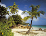 Fototapet 8-885 Praslin