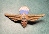 Insigna parasutist militar Romania 1965 1977 RSR fara clasa