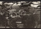CPIB 22582 - CARTE POSTAL - VEDERE DIN PREDEAL