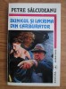 Petre Salcudeanu - Bunicul și lacrima din carburator