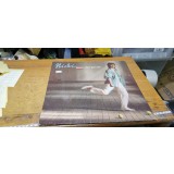 Vinil Nicki - ganz oder gar net Stare proasta #A7357han