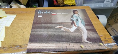 Vinil Nicki - ganz oder gar net Stare proasta #A7357han foto