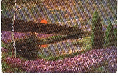 D11 A 39 - Felicitare de colectie - de la inceputul anilor 1900