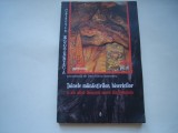 Tainele manastirilor, bisericilor si altor lacasuri sacre din Romania - Dan-Silviu Boerescu