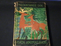 INSTANTANEE DIN VIATA ANIMALELOR-IONEL POP-ILUSTRATII-IOAN UNTCH-334 PG- foto