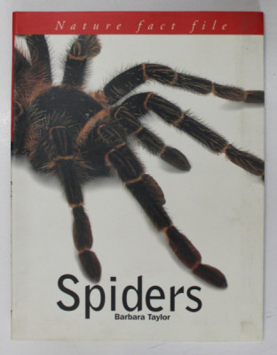 SPIDERS by BARBARA TAYLOR , 2000 foto