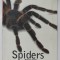 SPIDERS by BARBARA TAYLOR , 2000