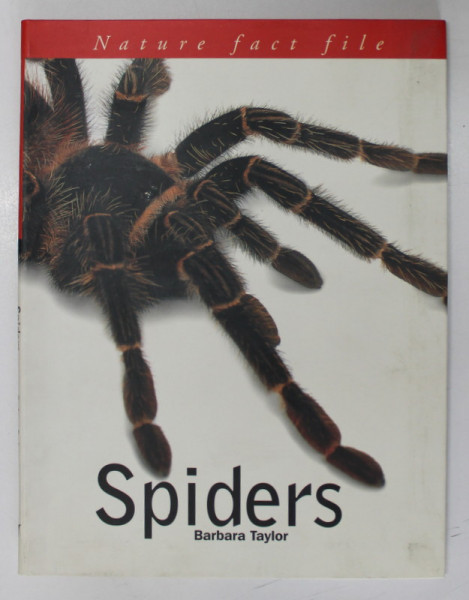 SPIDERS by BARBARA TAYLOR , 2000