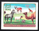 IRAQ 2003 FAUNA ANIMALE DOMESTICE, Nestampilat