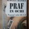 PRAF IN OCHI , PROCESUL CEOR 24-1-2 de MIRCEA BUNEA , 1994