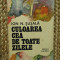 CULOAREA CEA DE TOATE ZILELE - ION N. SUSALA