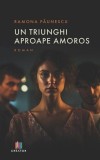 Un triunghi aproape amoros Ramona Paunescu carte fictiune paperback brosat poveste tineri Bucuresti