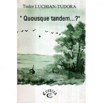 Tudor Luchian-Tudora - &amp;quot; Quousque tandem&amp;hellip;? &amp;quot; - 122653 foto