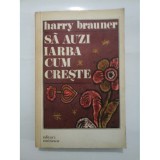 Harry Brauner - Sa auzi iarba cum creste