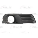 Grila ventilatie, bara protectie FORD FOCUS C-MAX (2003 - 2007) BLIC 6502-07-2534993P