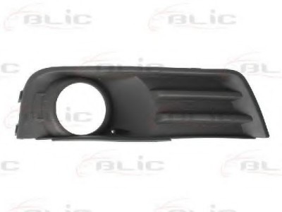 Grila ventilatie, bara protectie FORD FOCUS C-MAX (2003 - 2007) BLIC 6502-07-2534993P foto