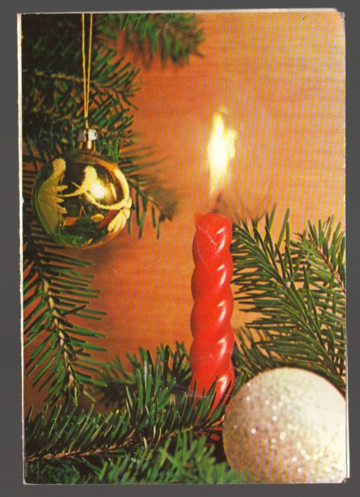 CPIB 19979 FELICITARE - LUMANARE, BRAD, GLOB