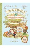 Familia Motanila si cele patru anotimpuri - Lucy Brownridge