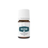 Maghiran+ (Marjoram+)