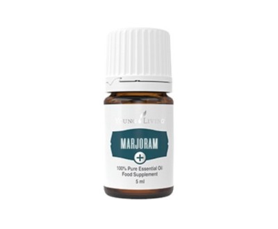 Maghiran+ (Marjoram+) foto