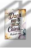 Poster Canvas Unframed Citate C&acirc;ine &icirc;n Rom&acirc;nă - Print Digital - Ai Gresit Casa | A4 (21 x 29.7 cm)